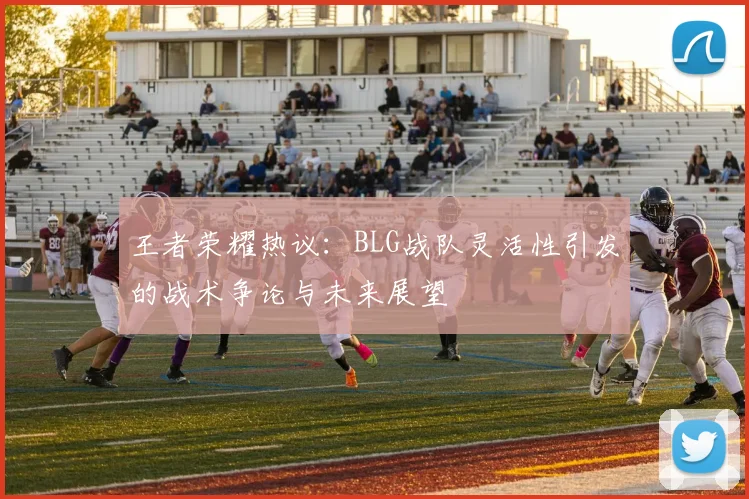 王者荣耀热议：BLG战队灵活性引发的战术争论与未来展望
