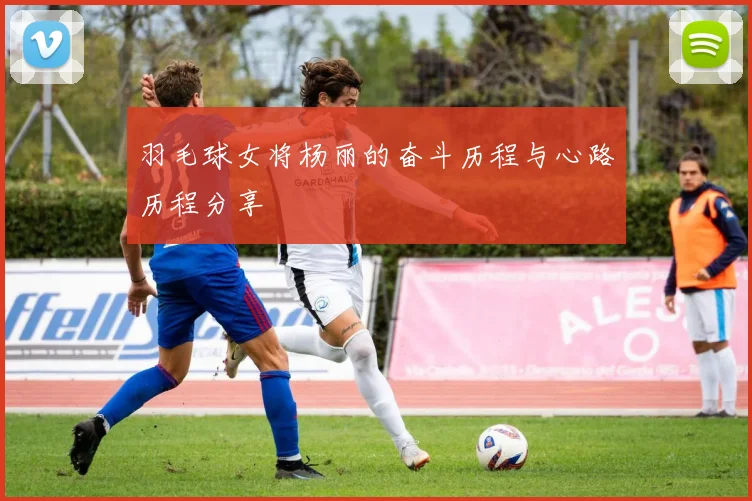 羽毛球女将杨丽的奋斗历程与心路历程分享