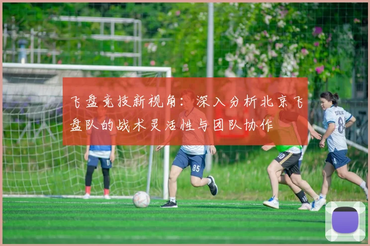 飞盘竞技新视角：深入分析北京飞盘队的战术灵活性与团队协作