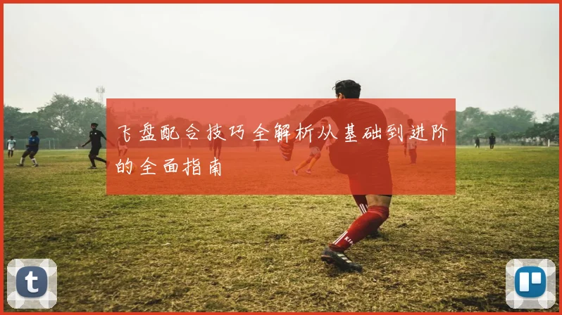 飞盘配合技巧全解析从基础到进阶的全面指南